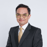 Joseph Lacson (Chief Investment Officer at AboitizPower)