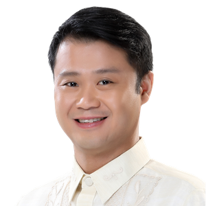 Sen. Sherwin Gatchalian (Chairperson, Committee on Energy Affairs at Philippine Senate)