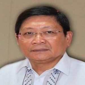 Gen. Danilo Delapuz Lim (Chairman at Metropolitan  Manila Development Authority)